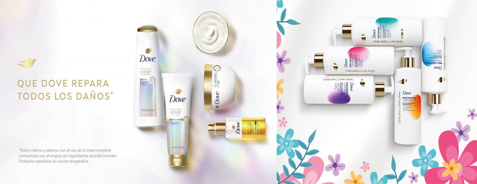 Slider dinámico COCOFA